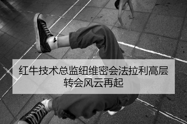 红牛技术总监纽维密会法拉利高层 转会风云再起